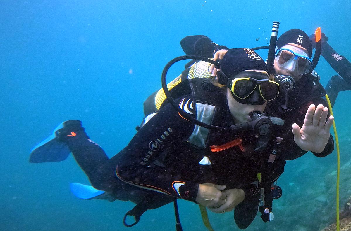 Marvin - Divemaster Internship 2025